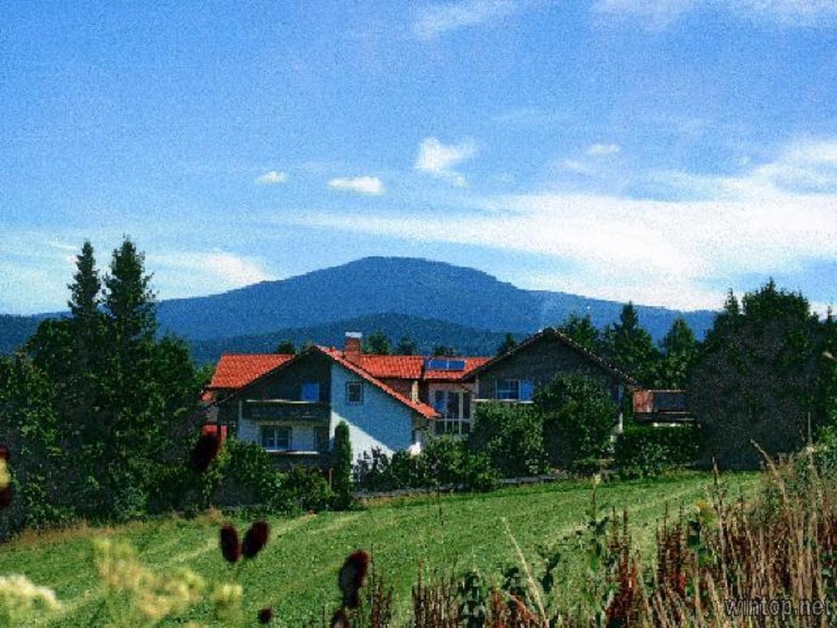 Pension Landhaus Hochfeld Zwiesel Exterior photo